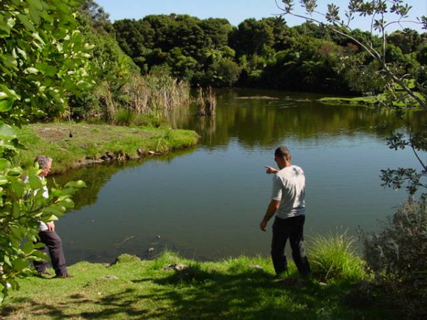 HSBC TV Commercial lake