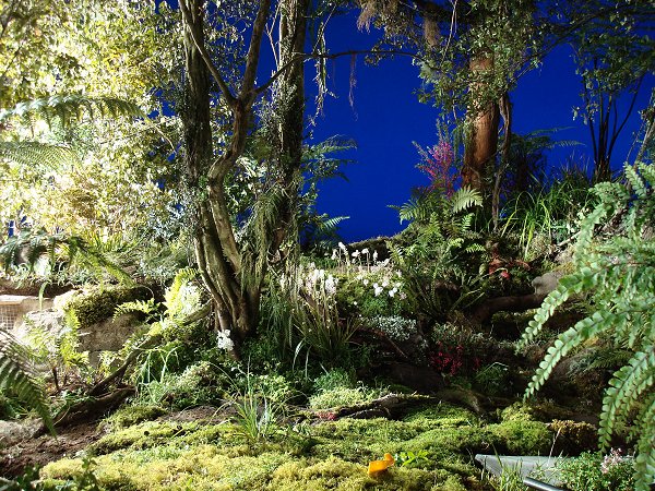 Coke TVC film set