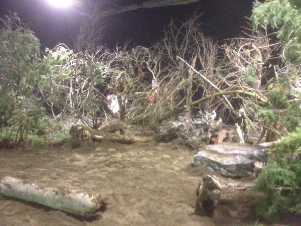 Roger Allen Deadlands set