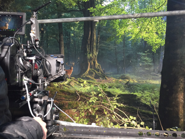 Roger Allen creating a TV Commercial